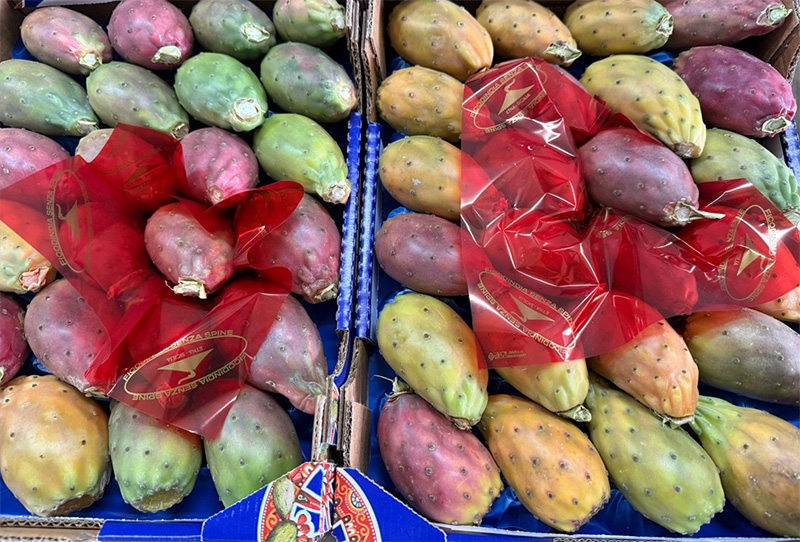 Fichidindia - Sicilia - 10 euro a collo